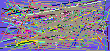 reverse address lookup